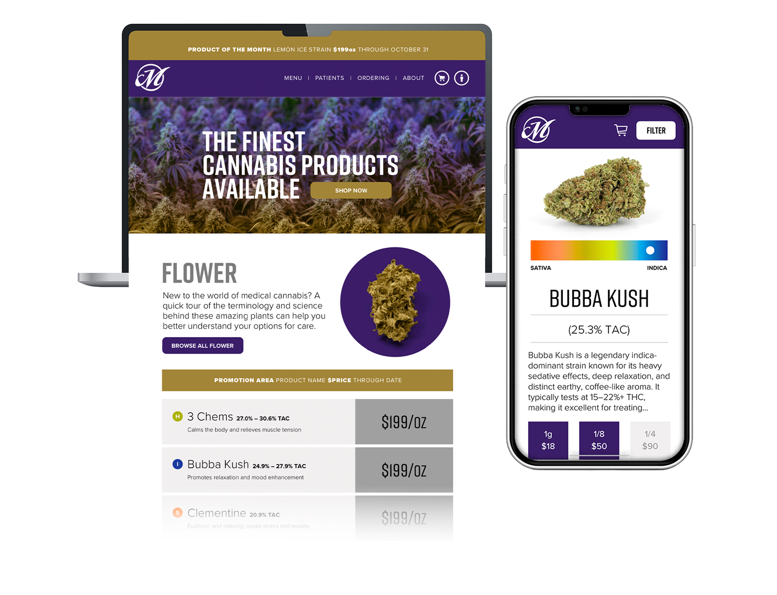 Mayflower project mockup